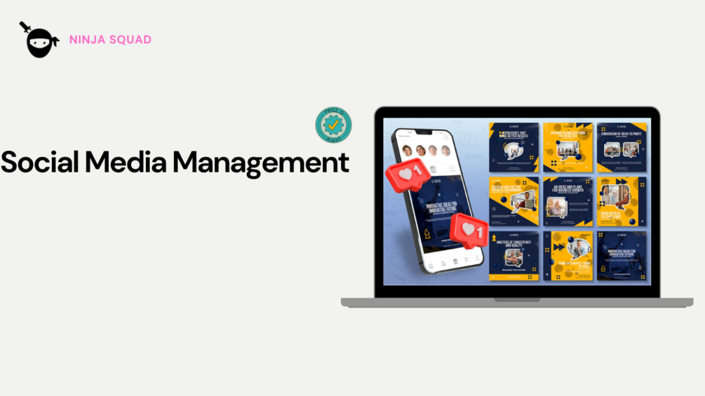 Social Media Management : Premium package