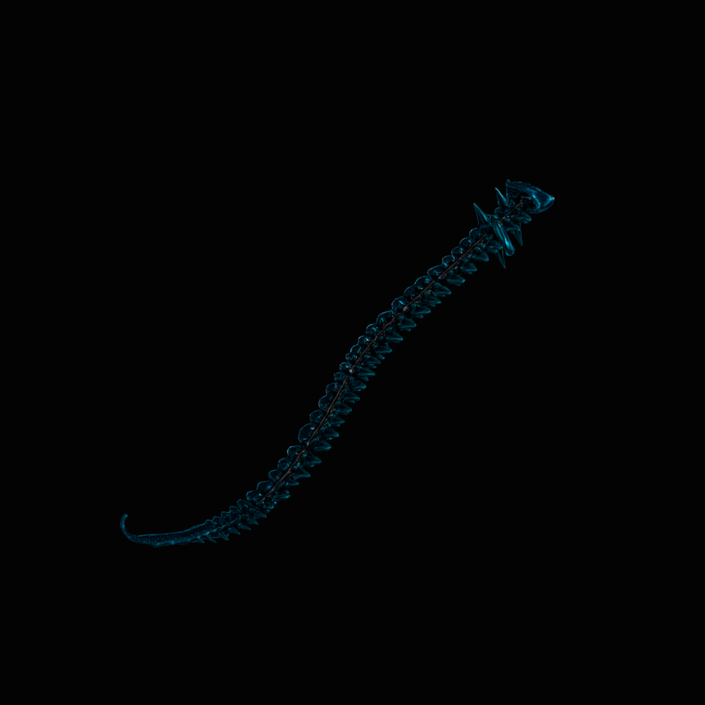 Cauda Noir Blue spinal tail