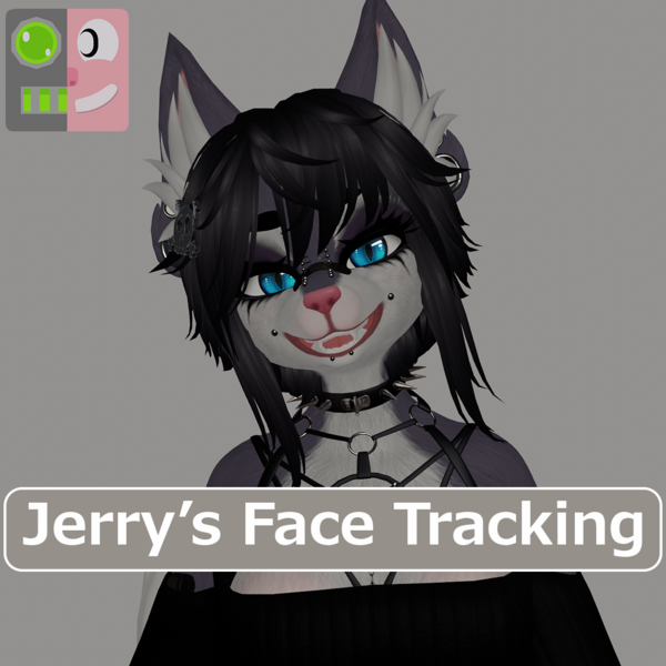Rune Jerry's Face Tracking Add-on