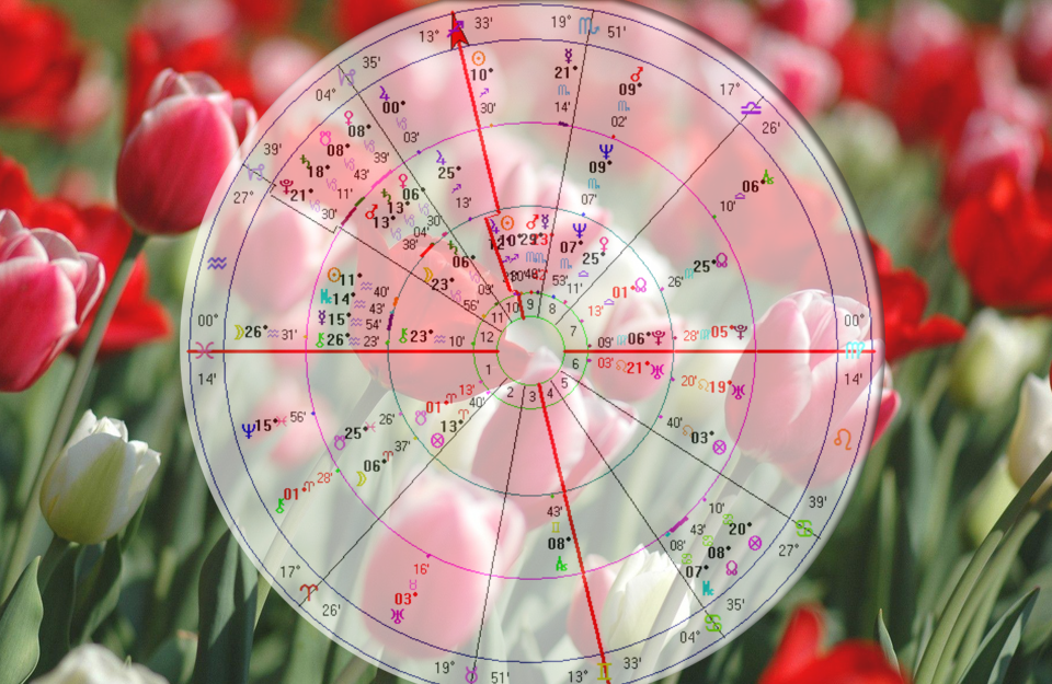 Solar Return Chart with Progressions and Transits