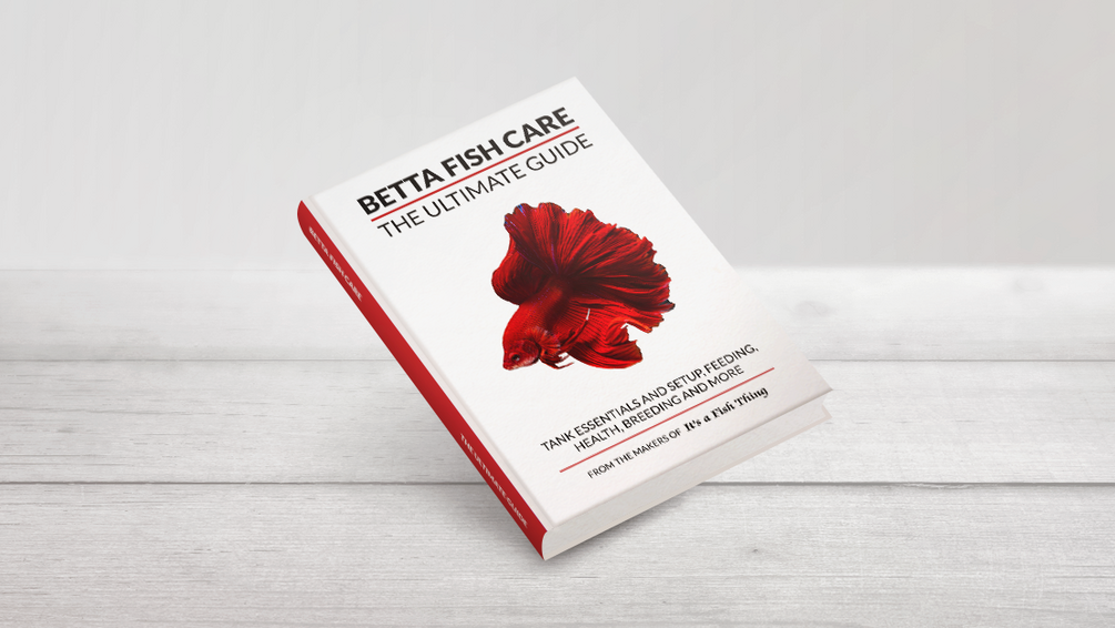 Betta best sale health care