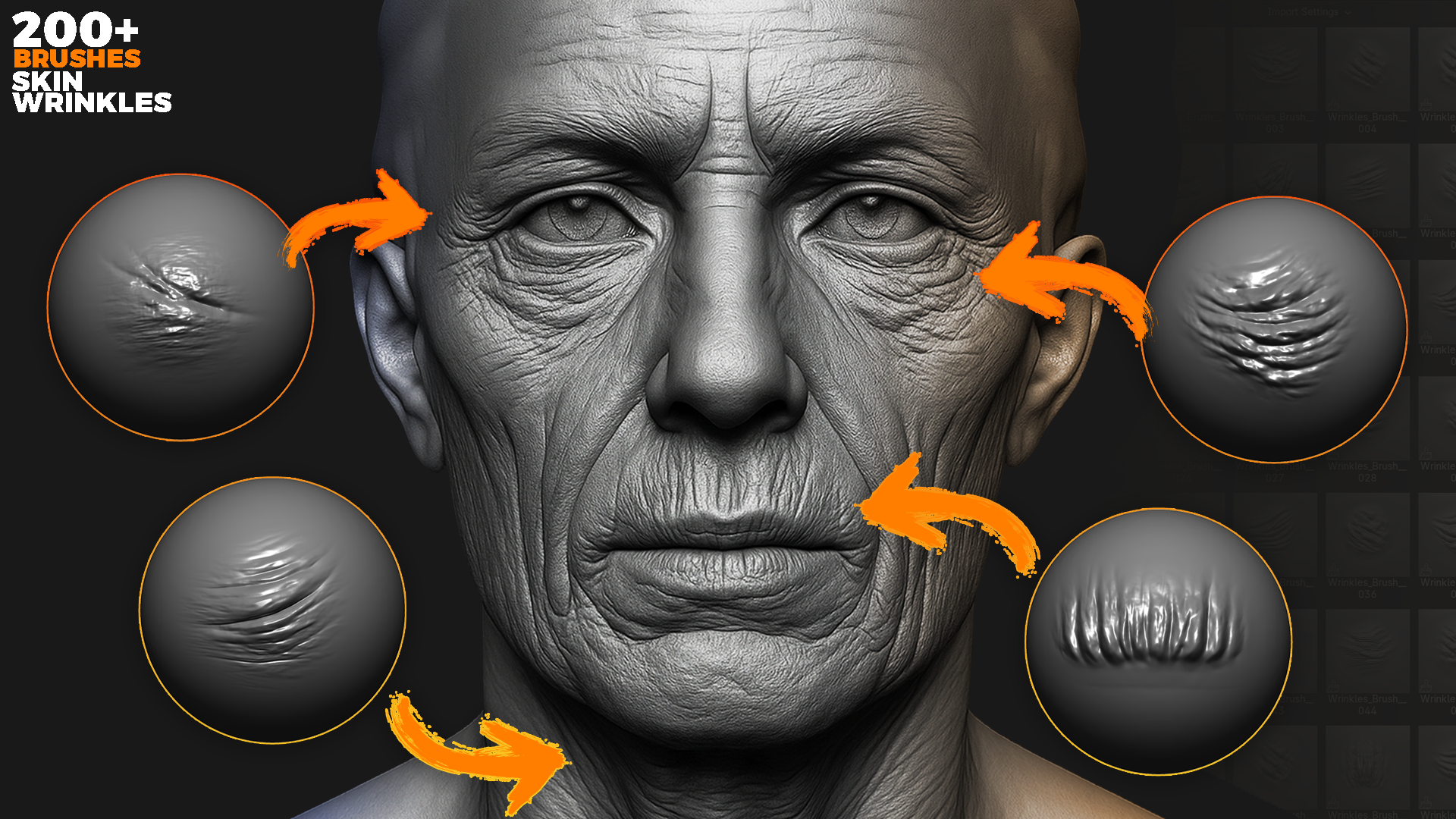 200+ Skin Wrinkles Sculpting Brushes For Blender & Zbrush preview 2