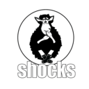Gumroad profile picture for @shocks