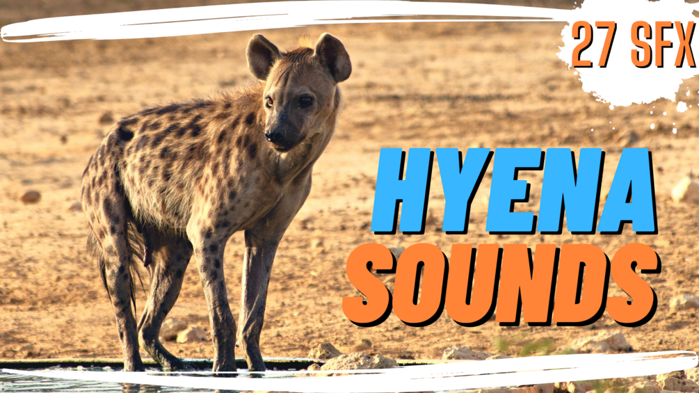 Hyena Sound Pack