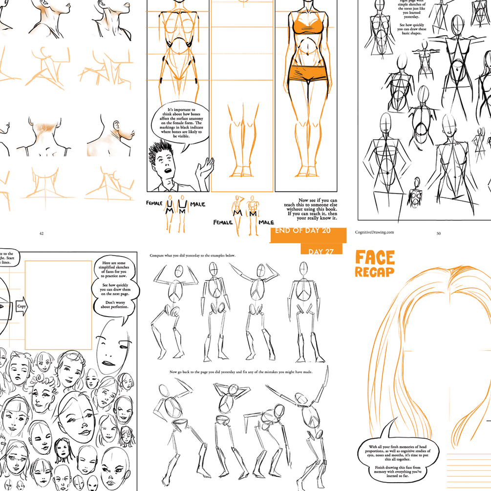 Cognitive Drawing - The FEMALE Figure (FULL 160 PAGE PDF)