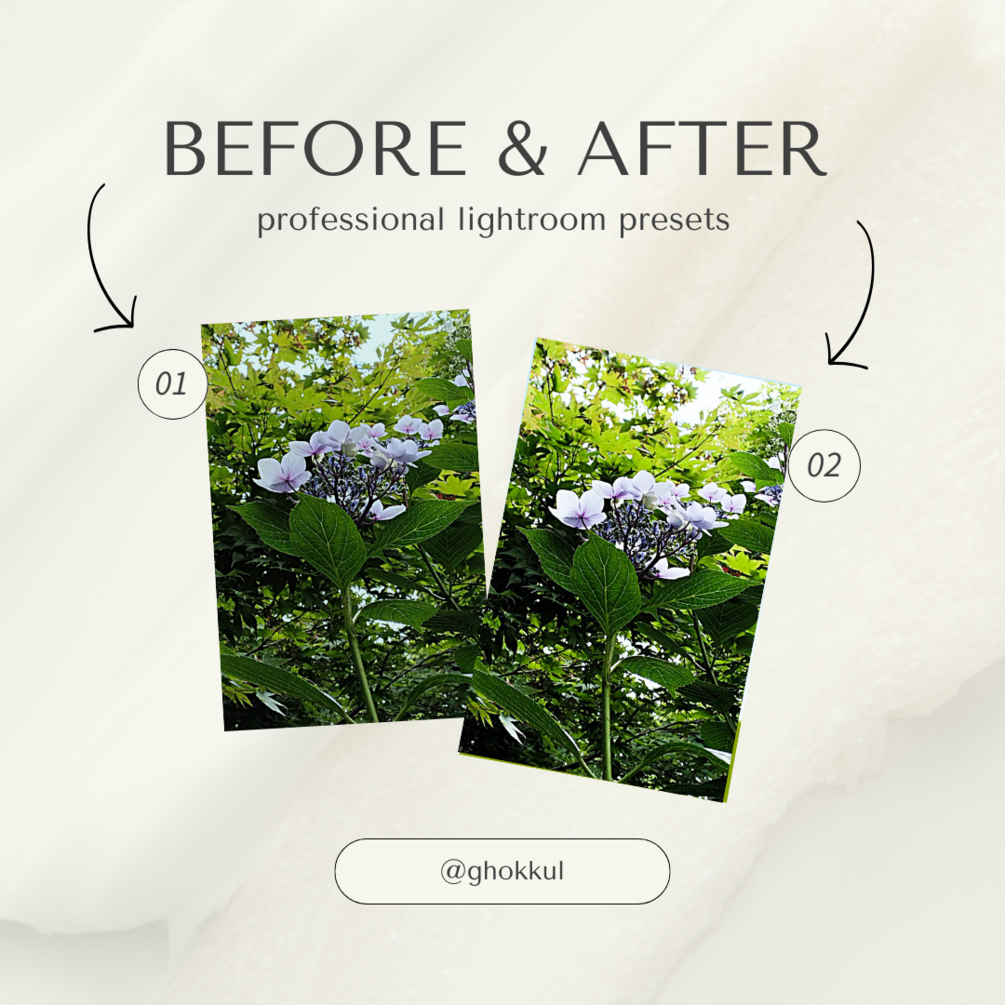 Lightroom Presets Collection Preview