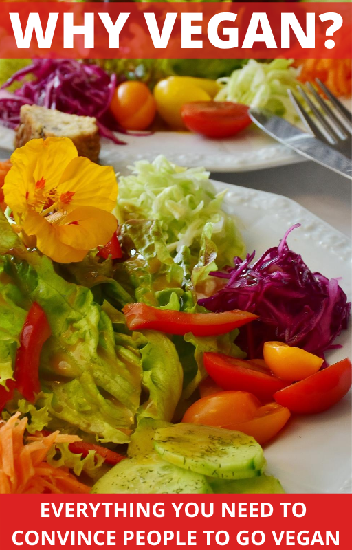 Why Vegan Everything You Need To Convince Others