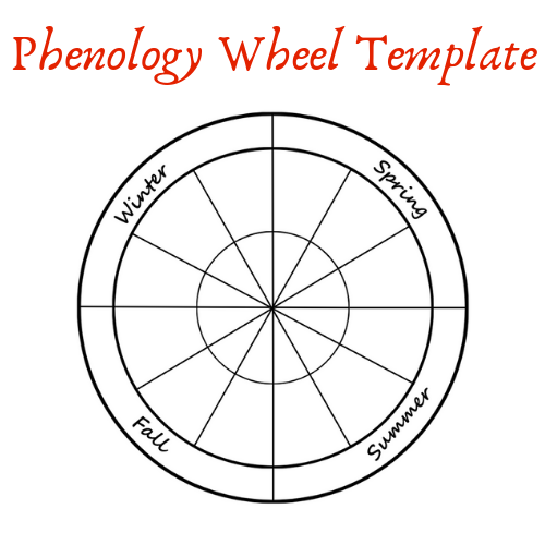 Phenology Wheel Template