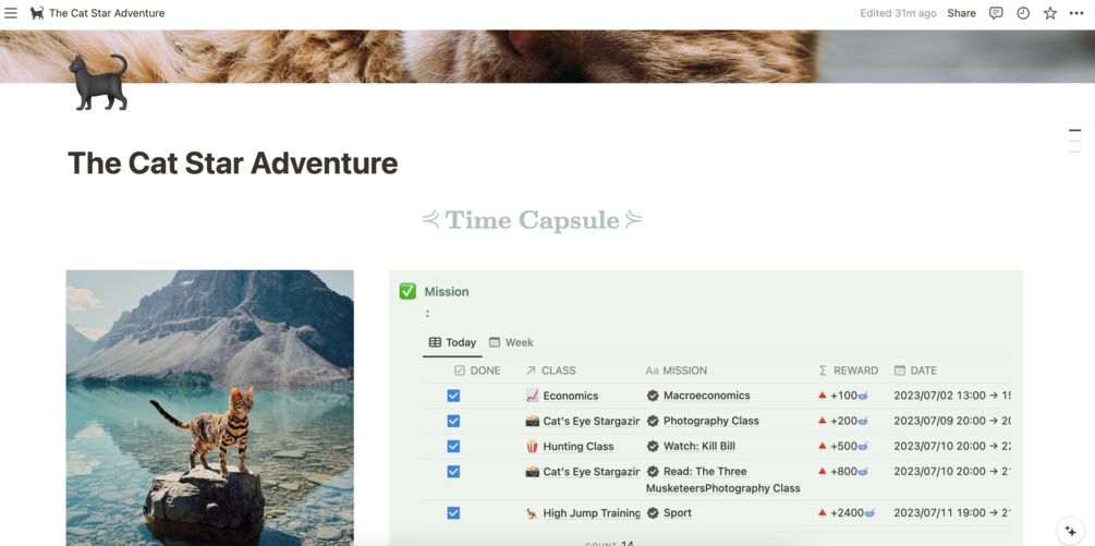 Notion template: The Cat Star Adventure