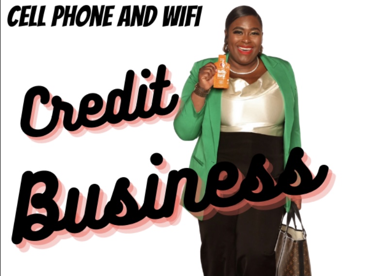 Learn How To Start A Credit Repair Business For Only 47 Meek