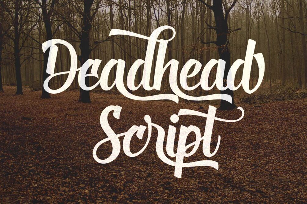 Deadhead Script