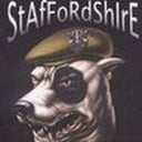 Gumroad profile picture for @staffordshire