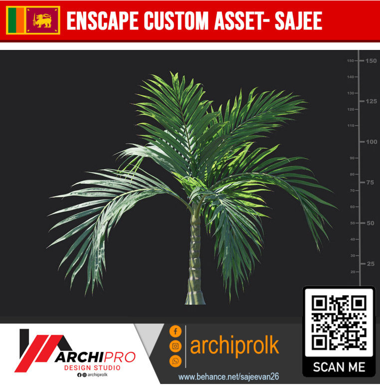 Burretiokentia_hapala_01_01