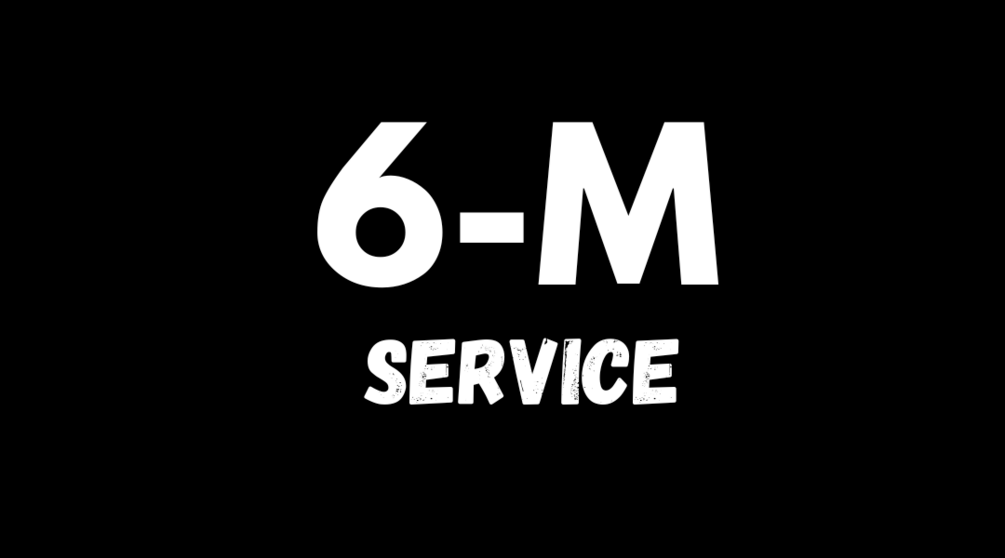 6 m service