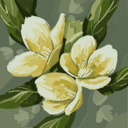 Gumroad profile picture for @shanaa