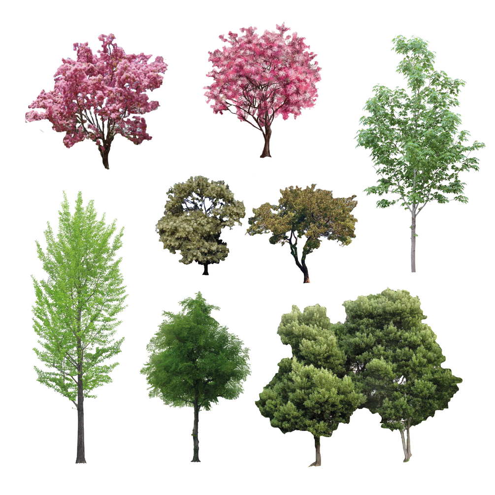 🌸🌳 Blossom Trees – 9 Realistic PNG Trees (Green & Pink Foliage)