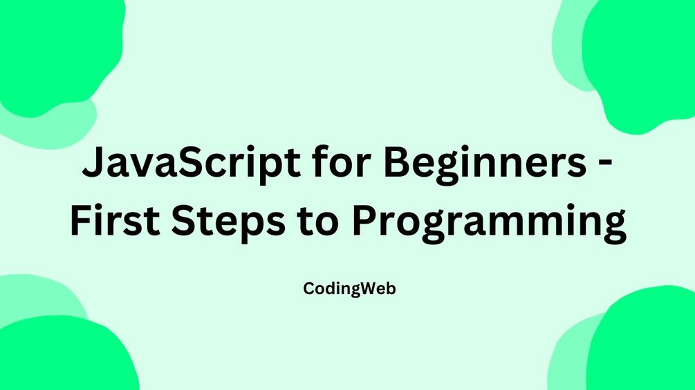 JavaScript for Beginners - First Steps to Programming - eBook