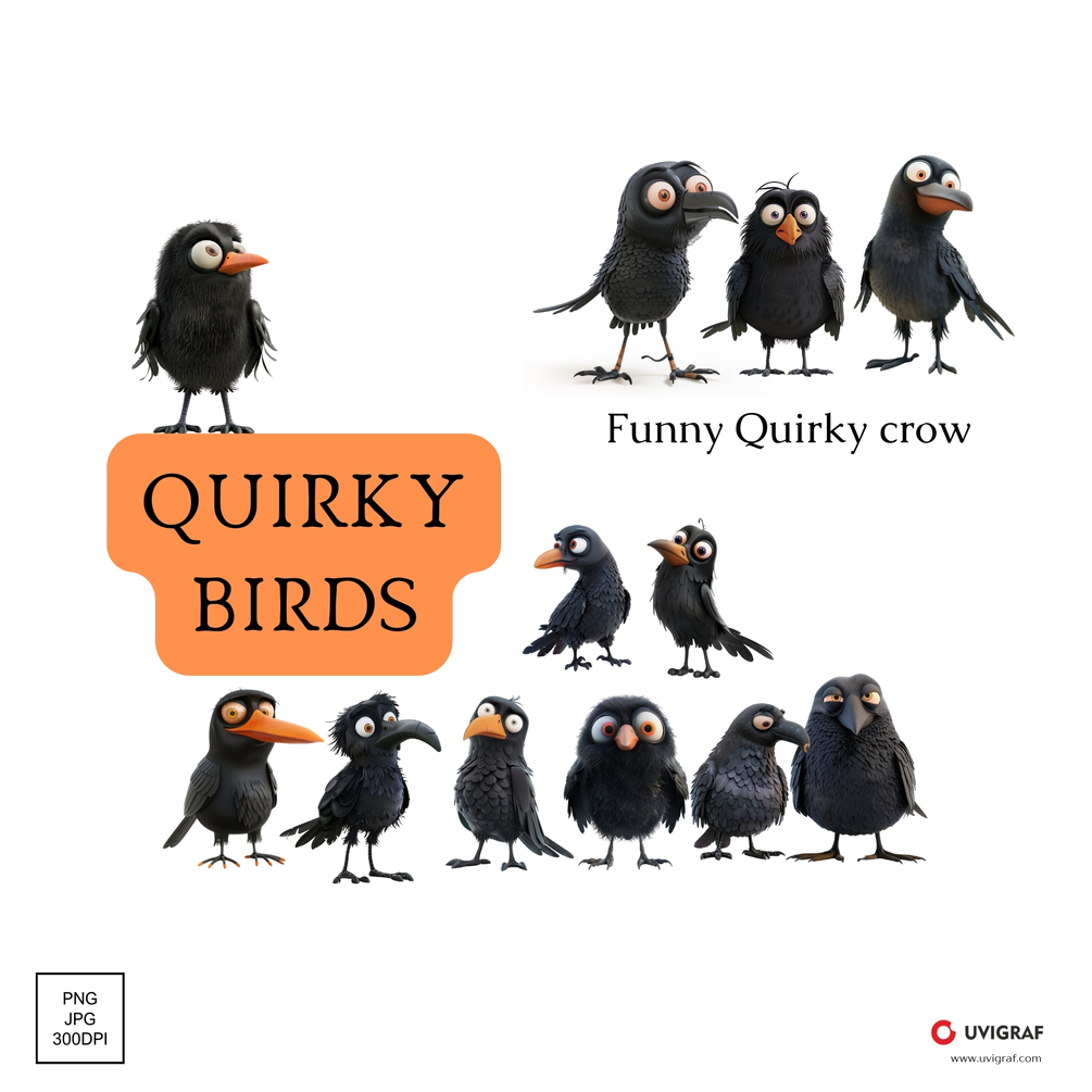 Funny quirky crow illustrations
