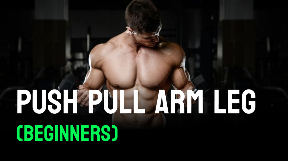 Workout Push Pull Arm Leg (Beginners)