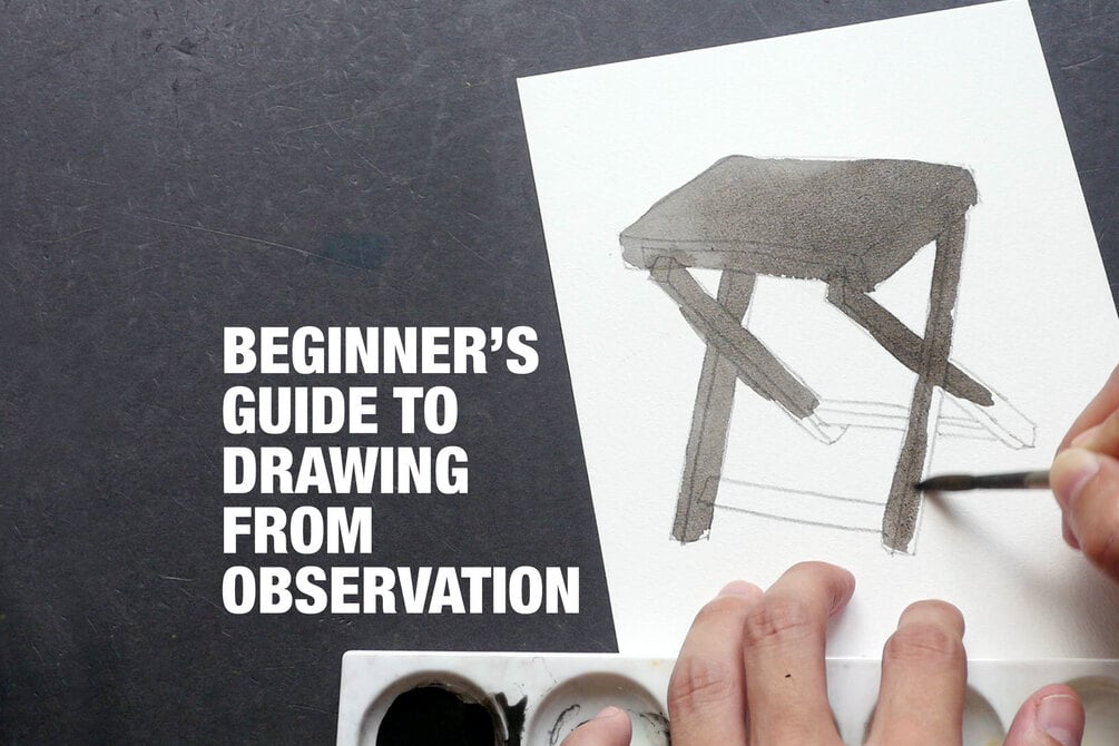 Beginner's Guide To Drawing From Observation (HD, 143 min)