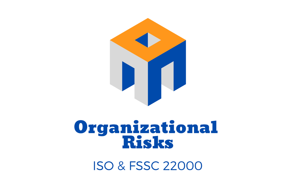 Organizational Risks Masterclass