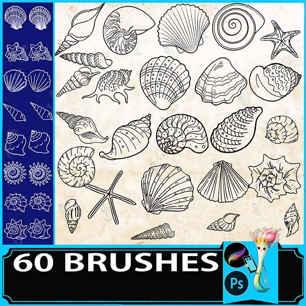 Procreate & Photoshop 60 Types Seashell・Marine Life Brush Set | Starfish・Scallop・Hand|Drawn Line Art Material by best procreate brushes