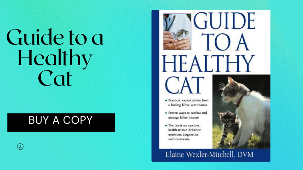 guide-to-a-healthy-cat