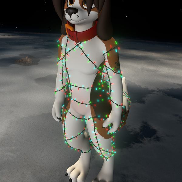 Christmas Lights | Pupper by LavinaHusky