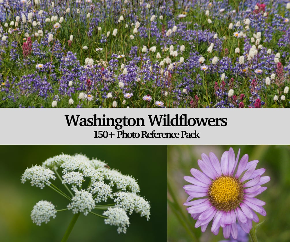 Washington Wildflowers Reference Pack