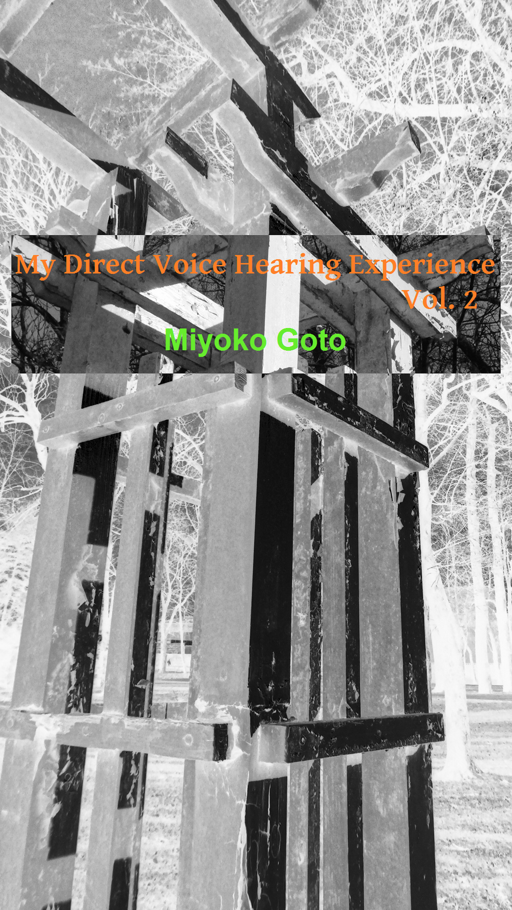 My Direct Voice Hearing Experience vol.2