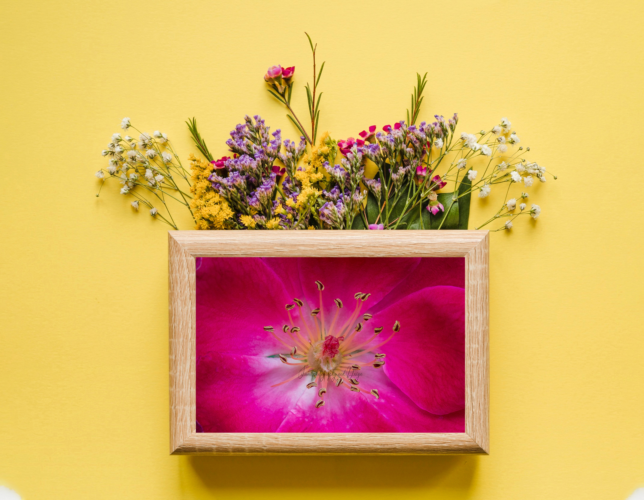 a-closeup-view-of-magenta-flower