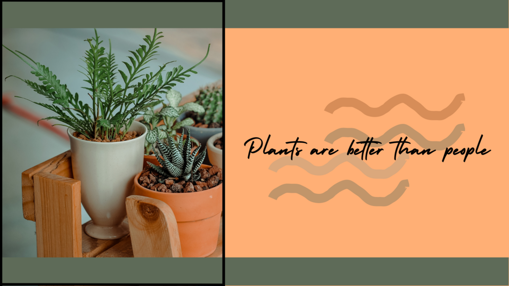Plants Are Better Than People Background