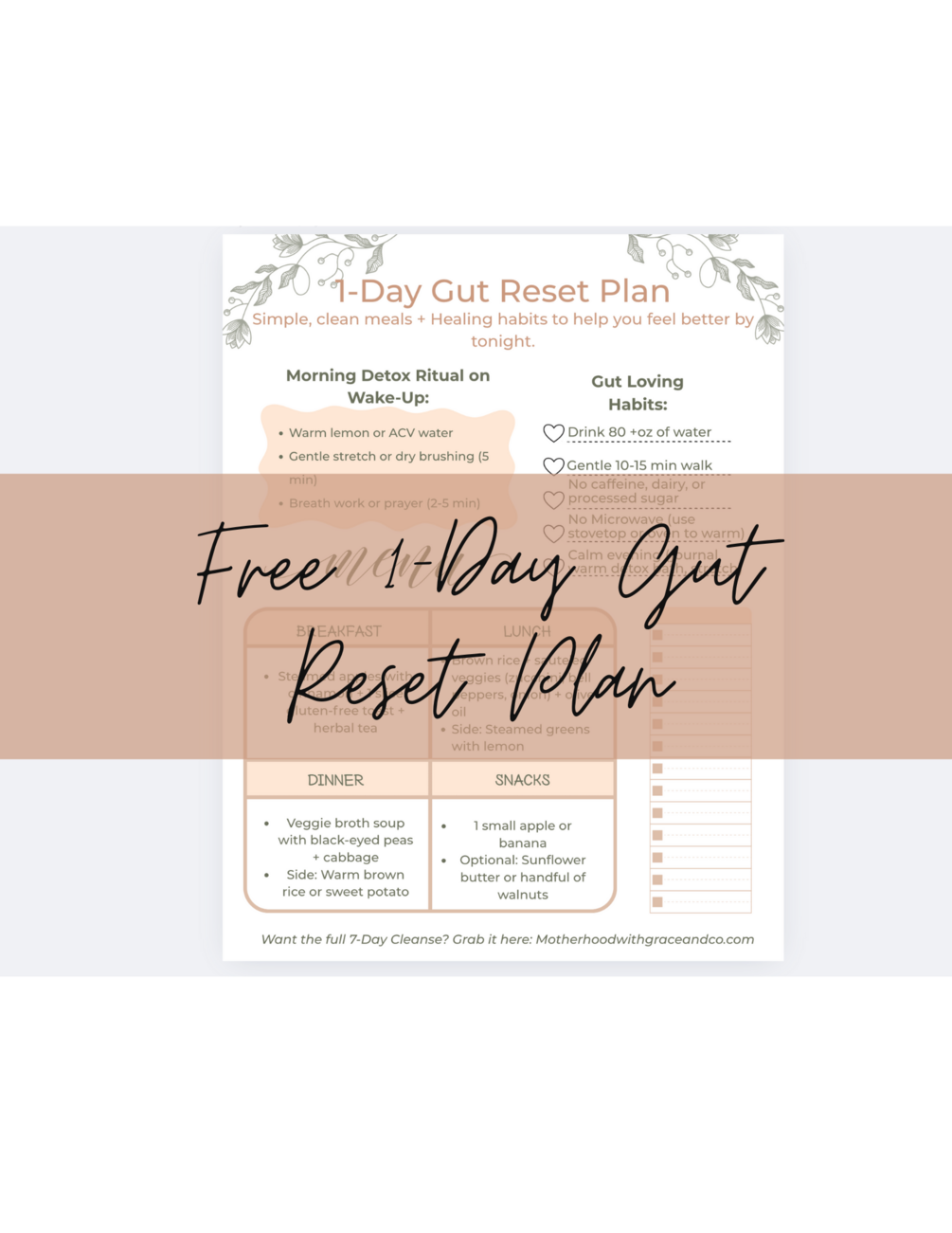 Free 1 Day Gut Reset Motherhood With Grace