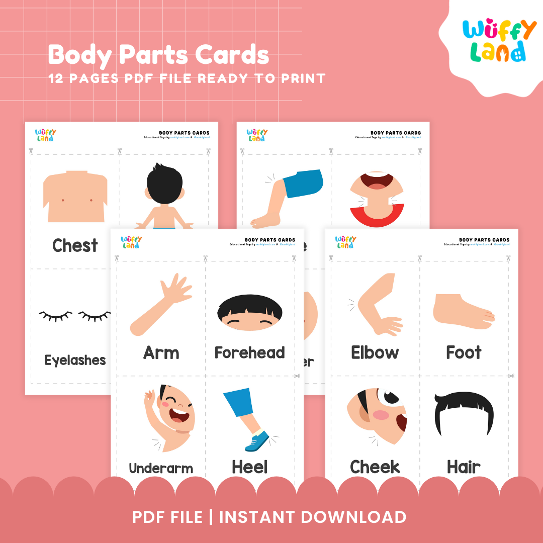 Body Parts Cards, Flashcard Body Part, Printable Montessori, Image ...
