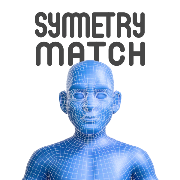 SymmetryMatch — Restore Symmetry from a Reference Mesh