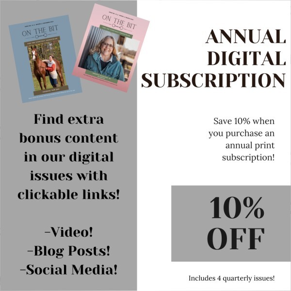 Annual Digital Subscription – On The Bit Magazine